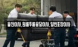 울산이사,원룸투룸용달이사,일반포장이사
