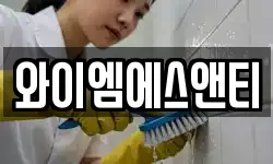 와이엠에스앤티