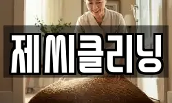 제씨클리닝