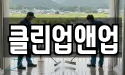 클린업앤업