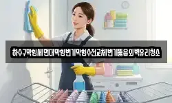 하수구막힘세면대막힘변기막힘수전교체변기뚫음외벽유리청소