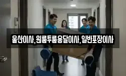 울산이사,원룸투룸용달이사,일반포장이사