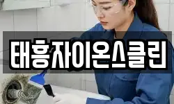 태흥자이온스클린