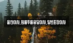 울산이사,원룸투룸용달이사,일반포장이사