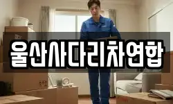 울산사다리차연합