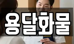 용달화물