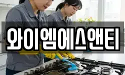와이엠에스앤티