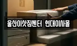 울산이삿짐센터 현대이사몰