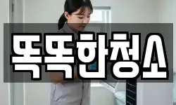 똑똑한청소