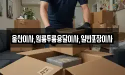 울산이사,원룸투룸용달이사,일반포장이사