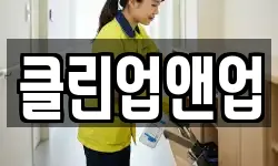 클린업앤업
