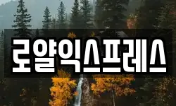 로얄익스프레스
