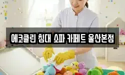 울산광역시 북구 효문동 청소,입주청소,사무실청소,에어컨청소