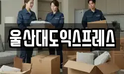 울산대도익스프레스