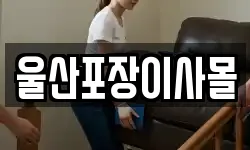 울산포장이사몰