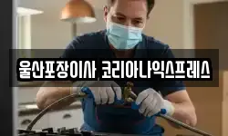 울산포장이사 코리아나익스프레스