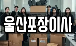 울산포장이사