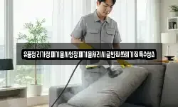울산광역시 울주군 두동면 청소,입주청소,사무실청소,에어컨청소
