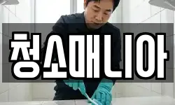 청소매니아