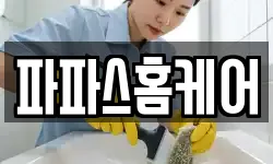 파파스홈케어