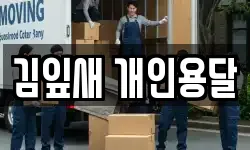김잎새 개인용달