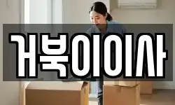 거북이이사