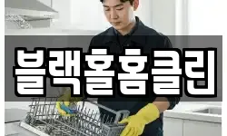 블랙홀홈클린