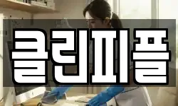 클린피플