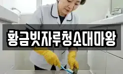 황금빗자루청소대마왕