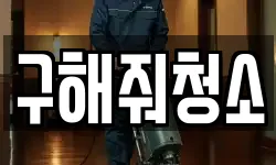 구해줘청소