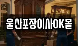 울산포장이사OK몰