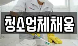 청소업체채움
