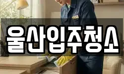 울산입주청소