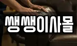 쌩쌩이사몰