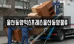 울산광역시 중구 남외동 이사,용달이사,포장이사,원룸이사,보관이사