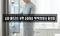 울산광역시 중구 다운동 청소,입주청소,사무실청소,에어컨청소