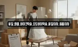 용달,화물,바이크탁송,오토바이탁송,용달이사,원룸이사