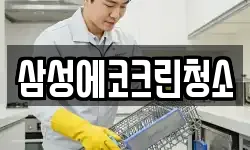 삼성에코크린청소