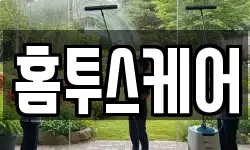 홈투스케어