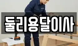 둘리용달이사