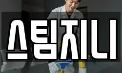스팀지니