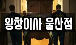 왕창이사 울산점