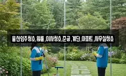 울산입주청소,원룸,이사청소,준공,계단,아파트,사무실청소