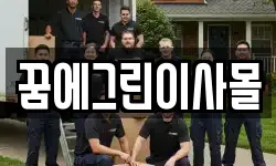 꿈에그린이사몰