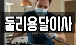 둘리용달이사