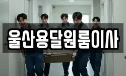 울산용달원룸이사