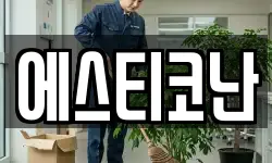 에스티코난