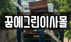 꿈에그린이사몰