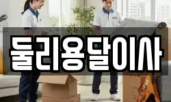 둘리용달이사