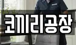 울산광역시 중구 성안동 청소,입주청소,사무실청소,에어컨청소
